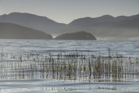 泸沽湖