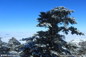 峨眉山雪景