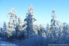 峨眉山雪景