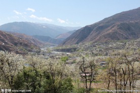 梨花山谷