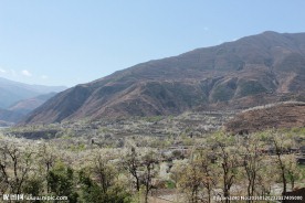 梨花山谷