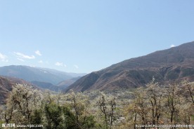 梨花山谷