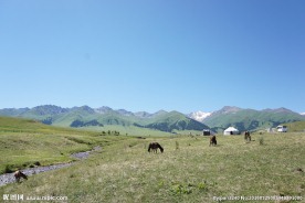 新疆喀纳斯