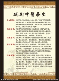 砭术养生 中医养生