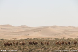 戈壁滩风光
