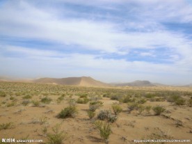 戈壁滩风光