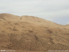 戈壁滩风光