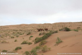 戈壁滩风光