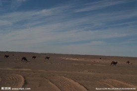 戈壁滩风光