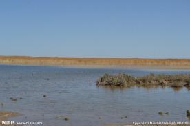 居延海