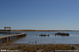 居延海