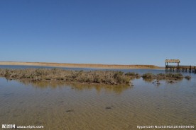 居延海