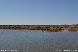 居延海