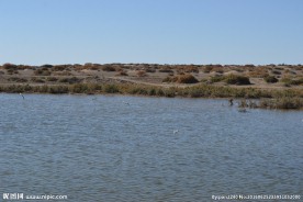 居延海
