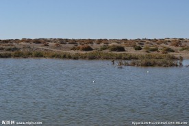 居延海
