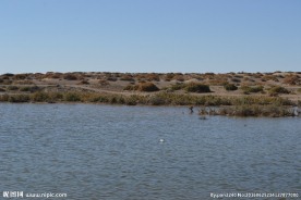 居延海