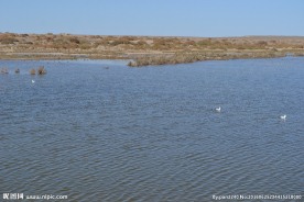 居延海