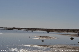 居延海