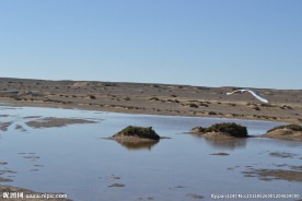 居延海