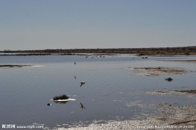 居延海