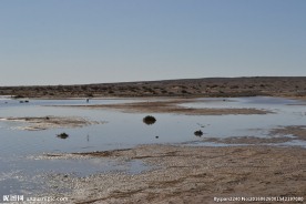 居延海