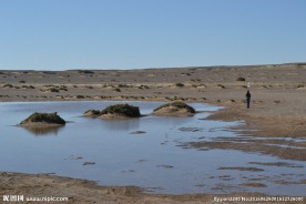 居延海