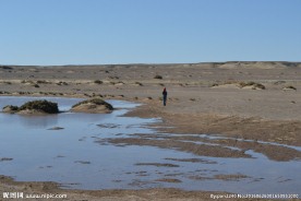 居延海