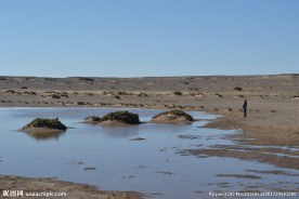 居延海