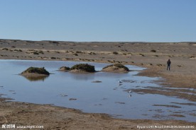 居延海