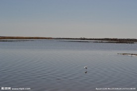 居延海