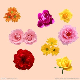 鲜花素材免扣