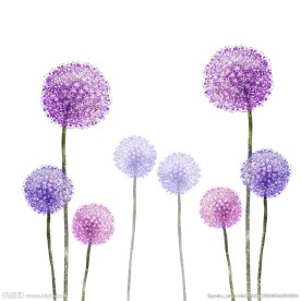 紫色免抠唯美手绘蒲公英