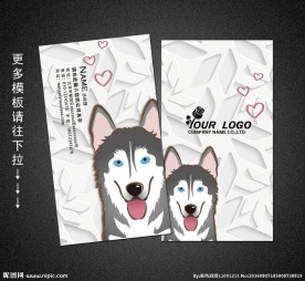 宠物名片