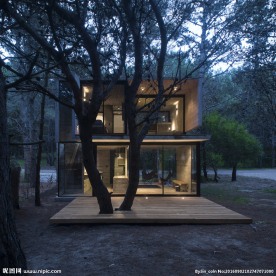 树林夜景别墅