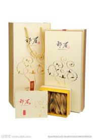 祁眉 逸信