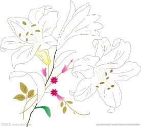 百合花