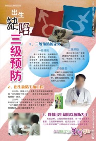 出生缺陷三级预防展板