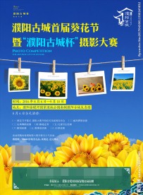 濮阳地产葵花节海报