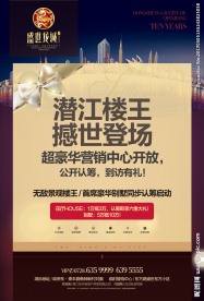 盛世龙城招贴海报广告