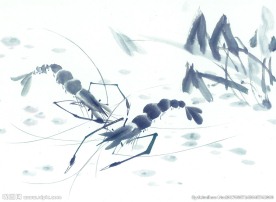 水墨画虾
