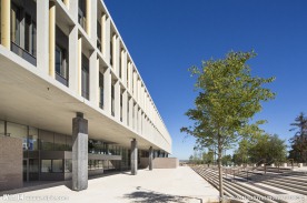 大学  高校