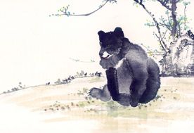 狗熊