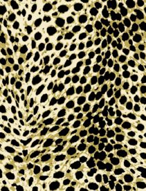 豹纹 野兽皮毛图案
