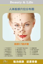 魅力精雕-人体脸部穴位分布图