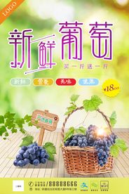 秋季夏季水果新鲜葡萄促销宣传海