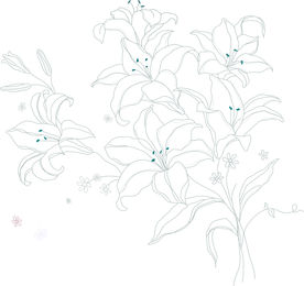 百合花