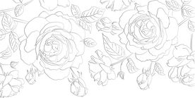 玫瑰花