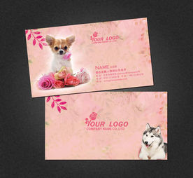 宠物店名片