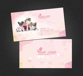 宠物名片