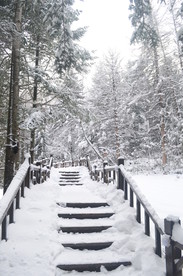 雪乡